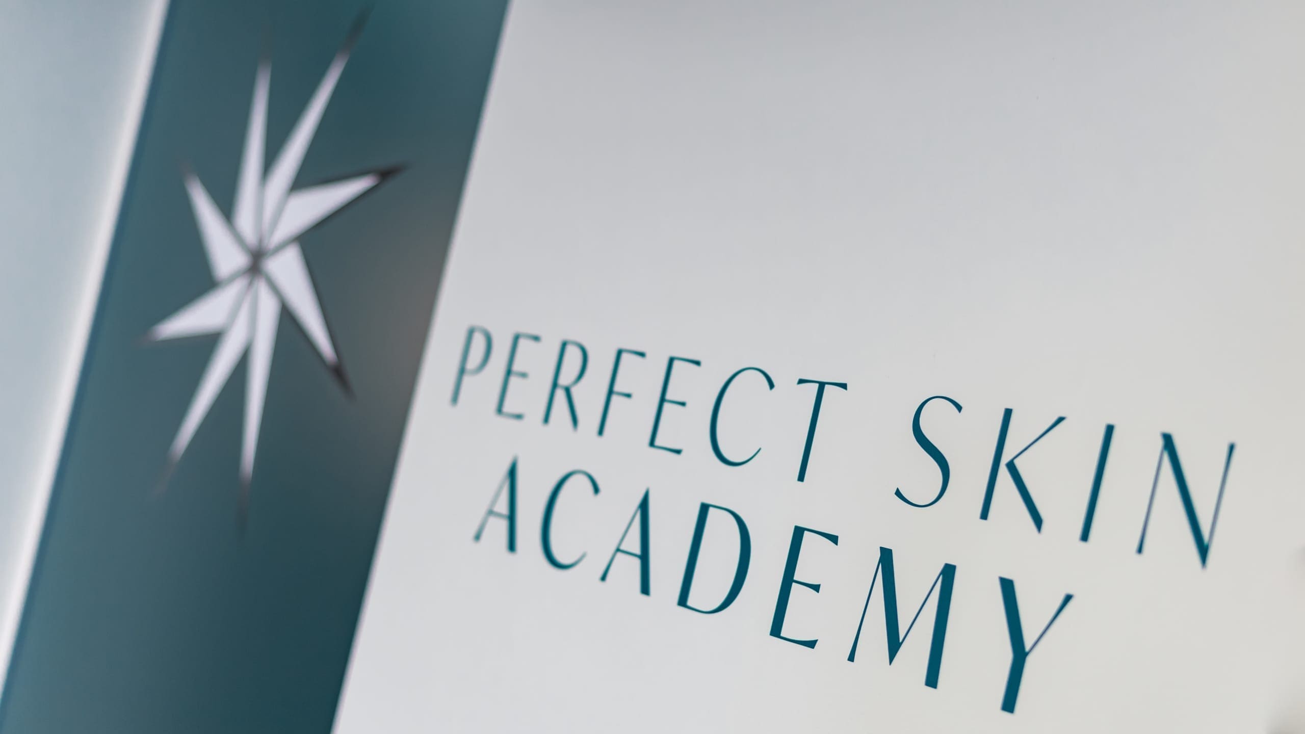 Perfect Skin Academy logo